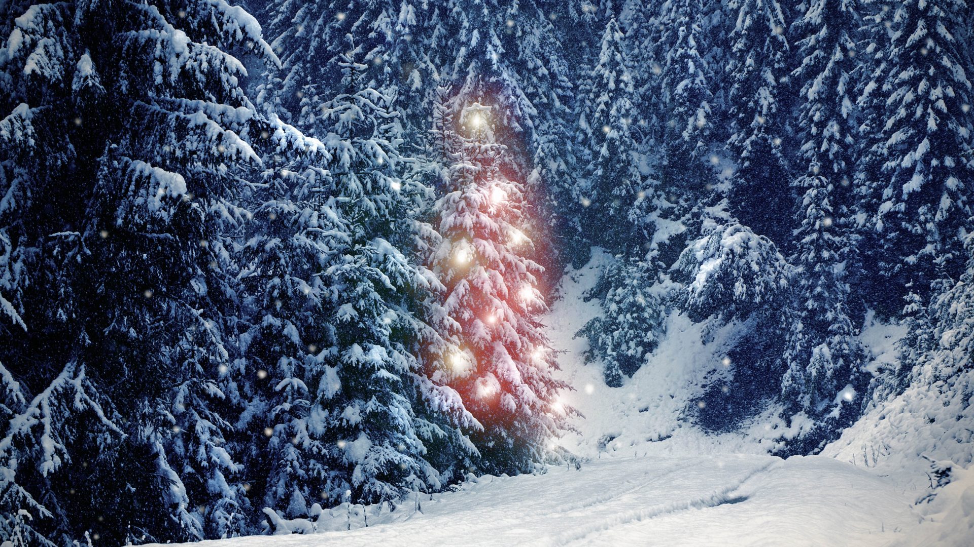 Hållbarhet & Husbygge: Här hugger vi vår gran