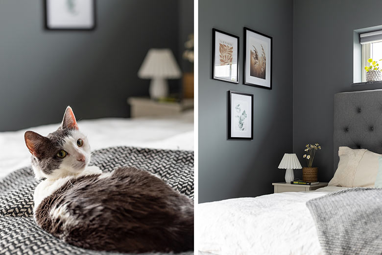 Detaljbilder från sovrummet och en katt