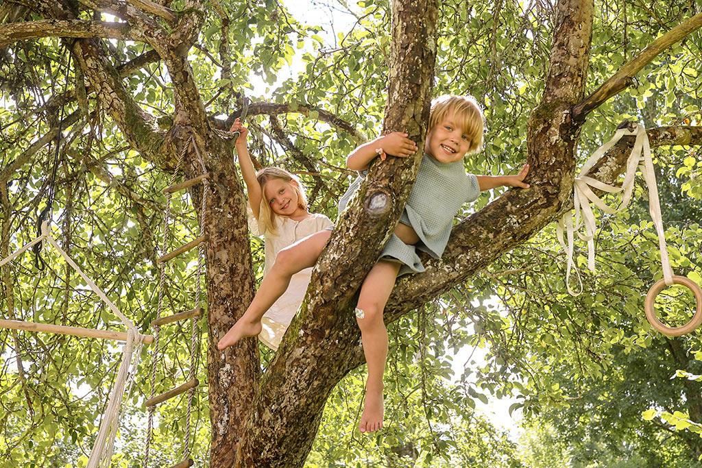 I trädgården finns både buskar och äppelträd.